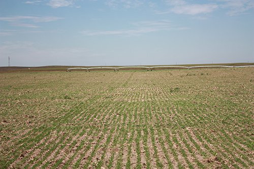 Property photo 51 - LAND AUCTION, 3255+/- Acres offered in 13 Tracts